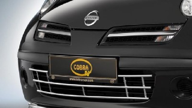 Stoßstangengrill Edelstahl 12 mm für Nissan Micra Stoßstangengrill Edelstahl 12 mm für Nissan Micra
