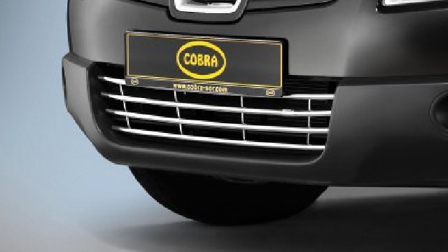 Stoßstangengrill Edelstahl 15 mm für Nissan Qashqai J10
